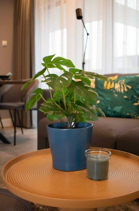 Luxury Cozy 2 Bdr Downtown Apt.2 Boedapest Buitenkant foto